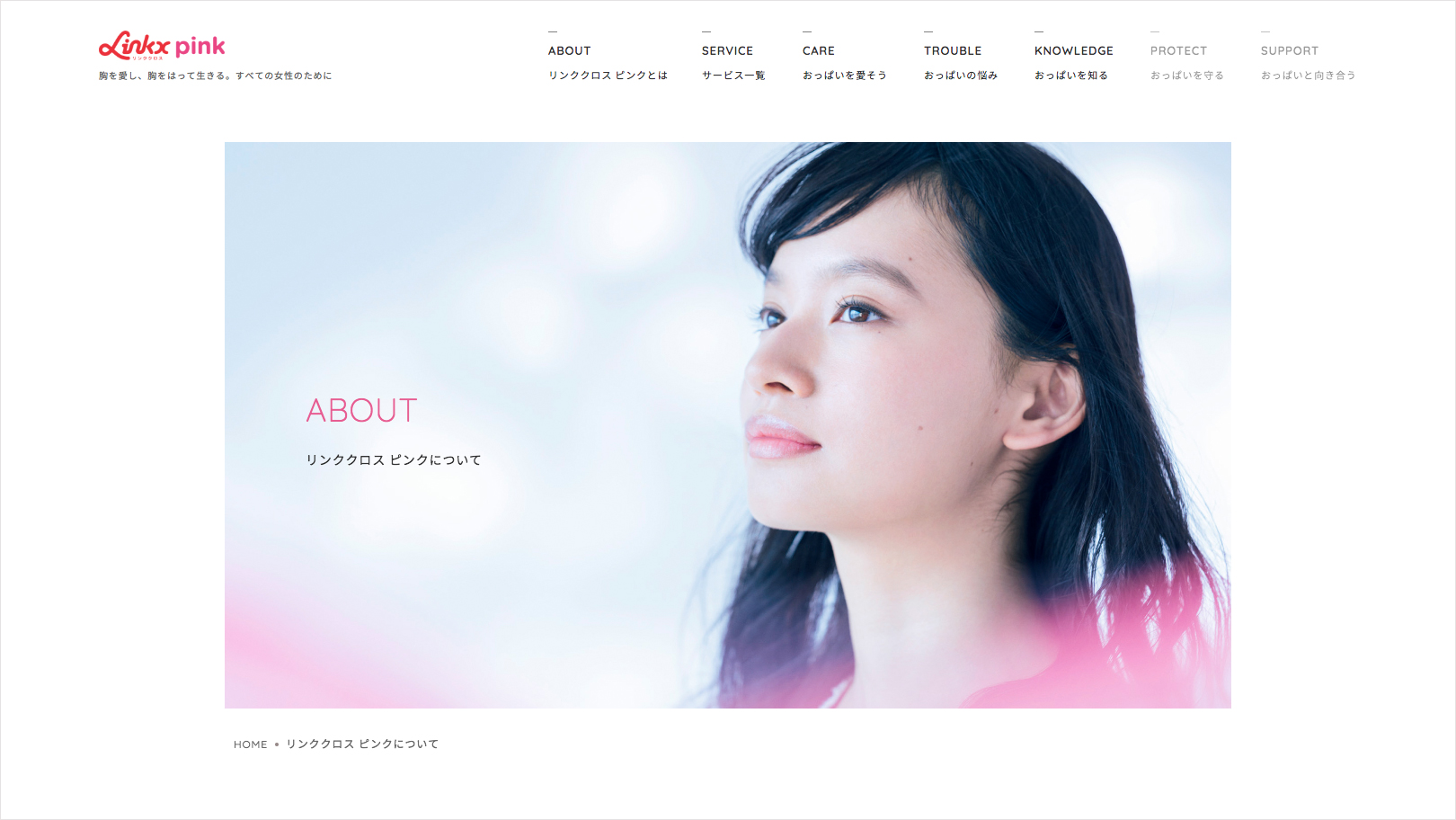 リンククロス ピンク | WORKS |