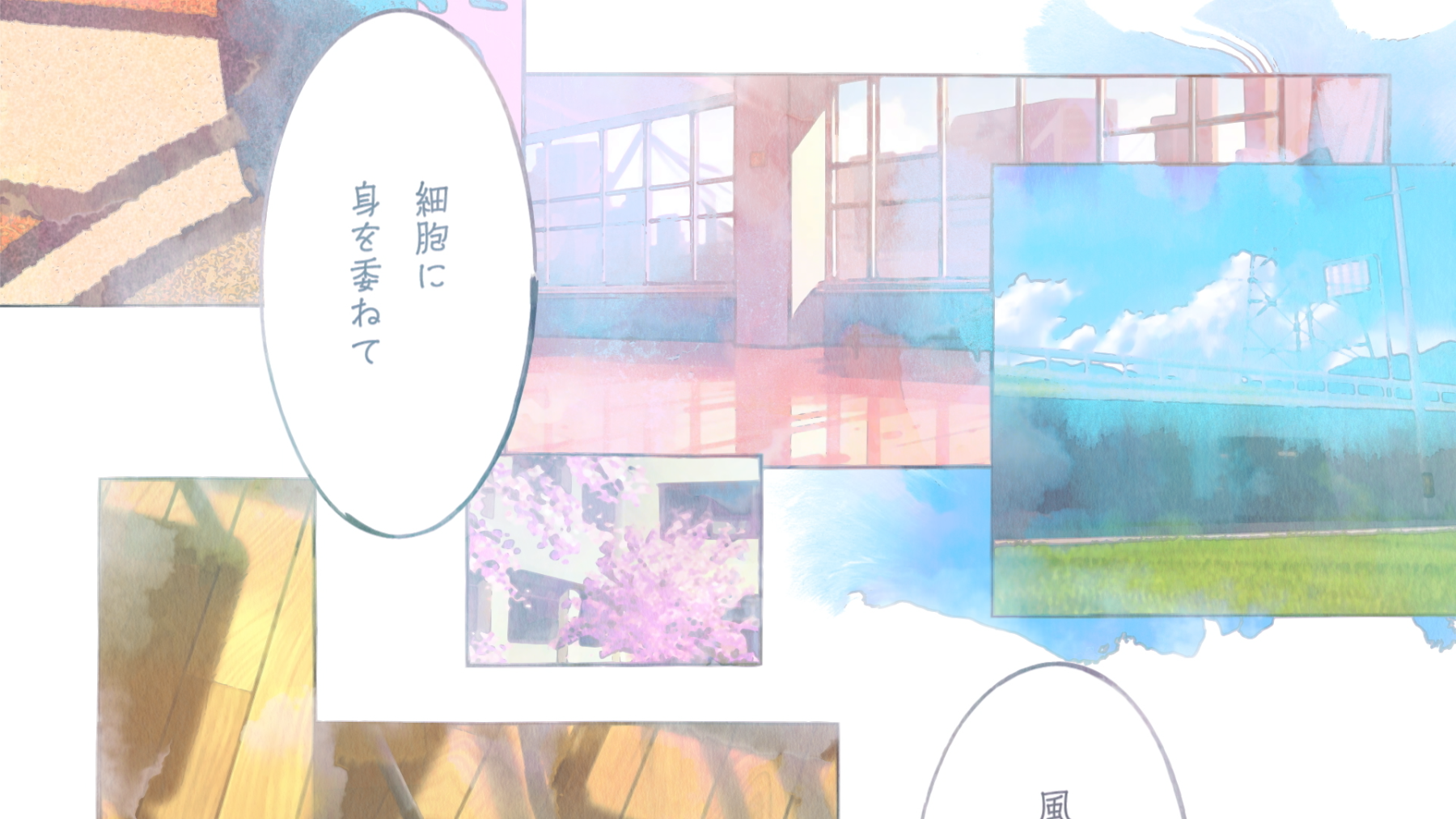 believe feat. 桜井えま(私立恵比寿中学) ｜「月刊偶像 2024年九月号